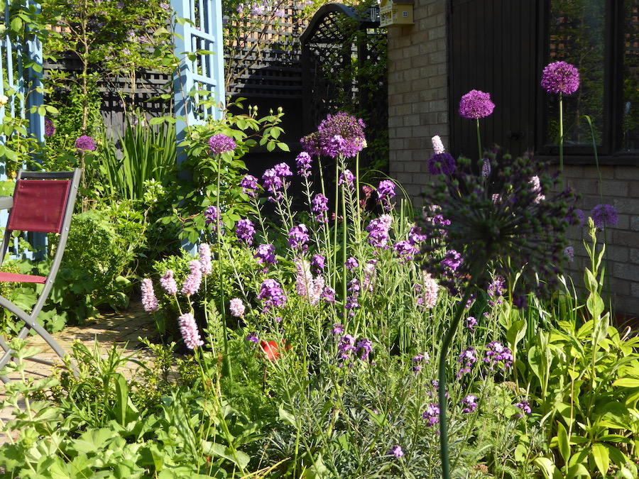 Chris Cooper-Hayes Garden Design – Leicestershire & Warwickshire - creative garden design, consultancy and planting services. We keep nature at the very heart of every project.